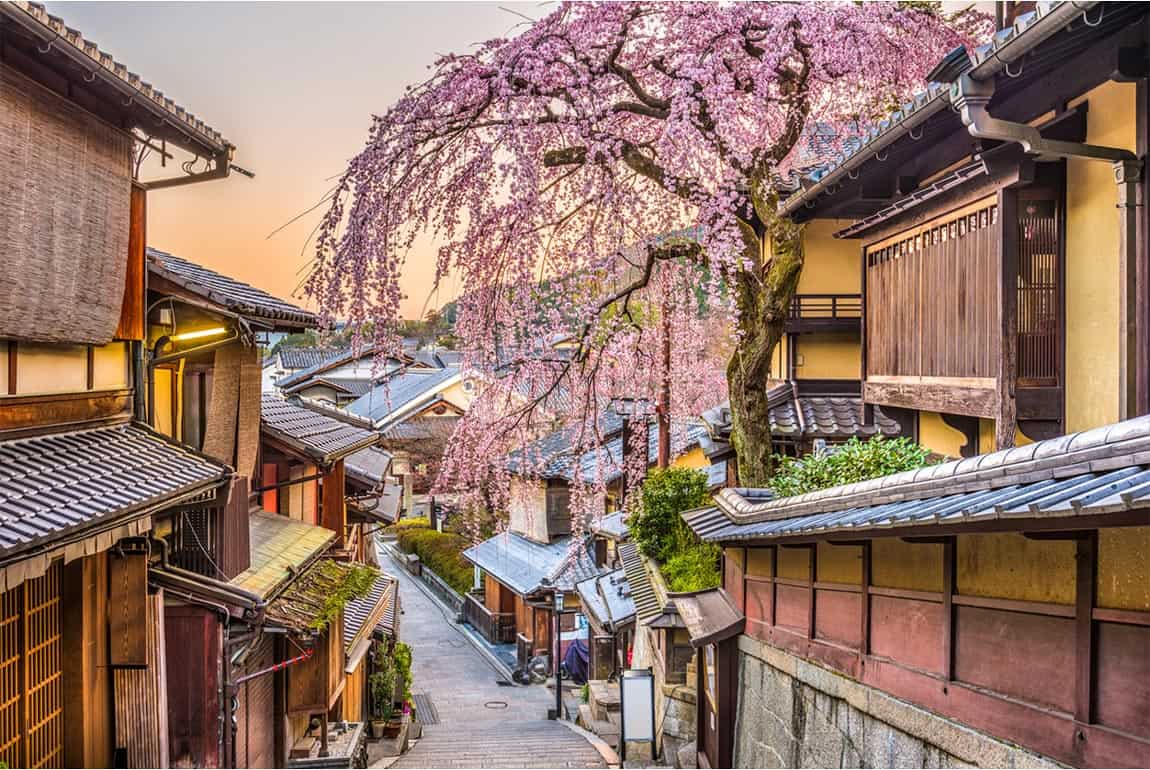 japan tour honeymoon package