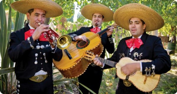 mariachi band instruments