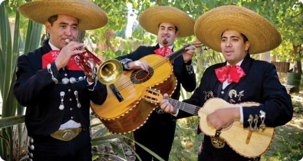 Mariachi : Specialty Acts